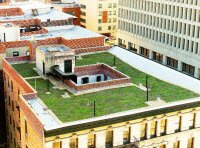 В архитектуре Нью-Йорка модно зеленные крыши