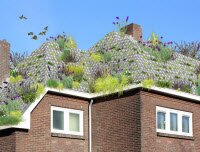 Черепица, которая может превратить любую крышу в яркий сад