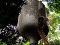 Эмбрион дома на дереве Энтони Гиббона займет новые высоты