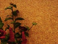 Применение и уход