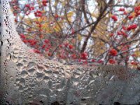 Запотевание окон