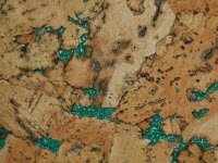 Достоинства пробковых покрытий