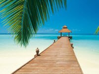 Обои для кухни – очага Вашего дома