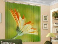 Жалюзи на окна: конструктивные особенности