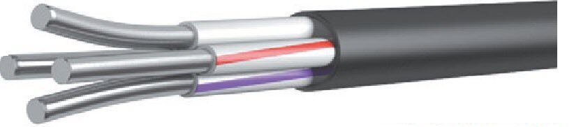 Кабель ВВГ в разрезе