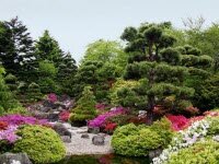 Ландшафтный дизайн своими руками