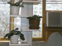 Вертикальная полочка для цветов