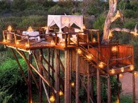 Дом на дереве под звездным ночным небом Африки