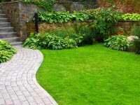 В чем секрет красивого газона?