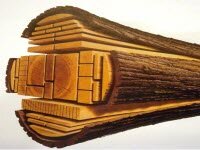 Свойства древесины