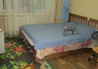 Первый ремонт, или в джазе только девушки