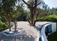 Живые деревья растут через потолок, в доме от Cadaval & Solá-Morales