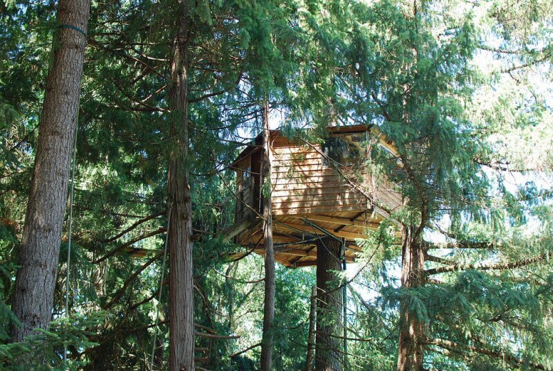 Michael Garnier построил на верхушках деревьев метрополис