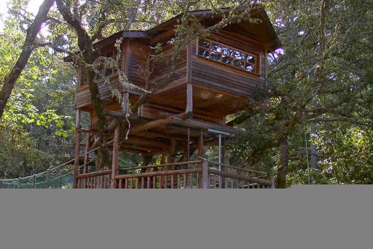 Michael Garnier построил на верхушках деревьев метрополис