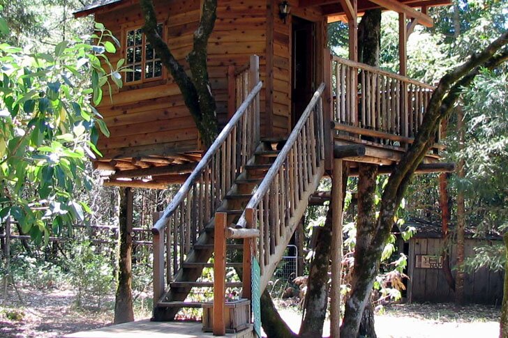 Michael Garnier построил на верхушках деревьев метрополис