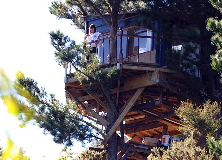 Дом с радиоуправляемым подъемный мостом в Новой Зеландии