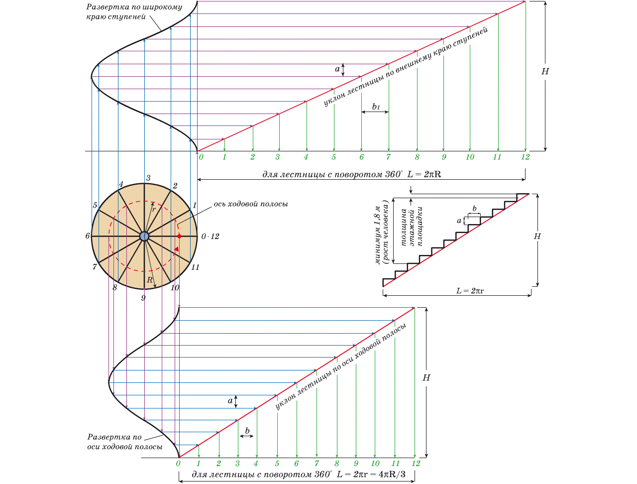 Графический расчет винтовой лестницы с оборотом в 360°