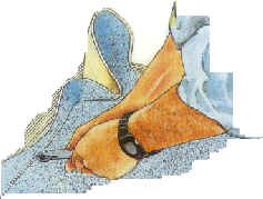 Укладка коммерческого линолеума