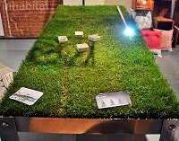 Стол PicNYC на котором растет трава