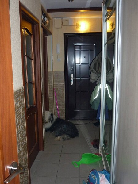 Ремонт 3-х комнатной своими руками