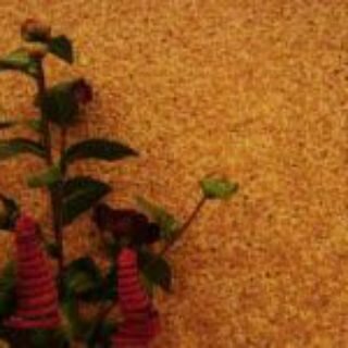 Применение и уход за жидкими обоями