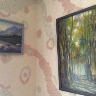 Декорация стен с помощью "жидких" обоев