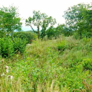 Подготовка участка под строительство дома