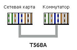 T568A