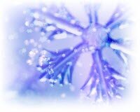 С новым 2013 годом!