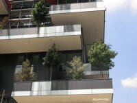 Близится к завершению вертикальных башен с лесом в Милане