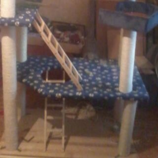 Игровой комплекс для кошек